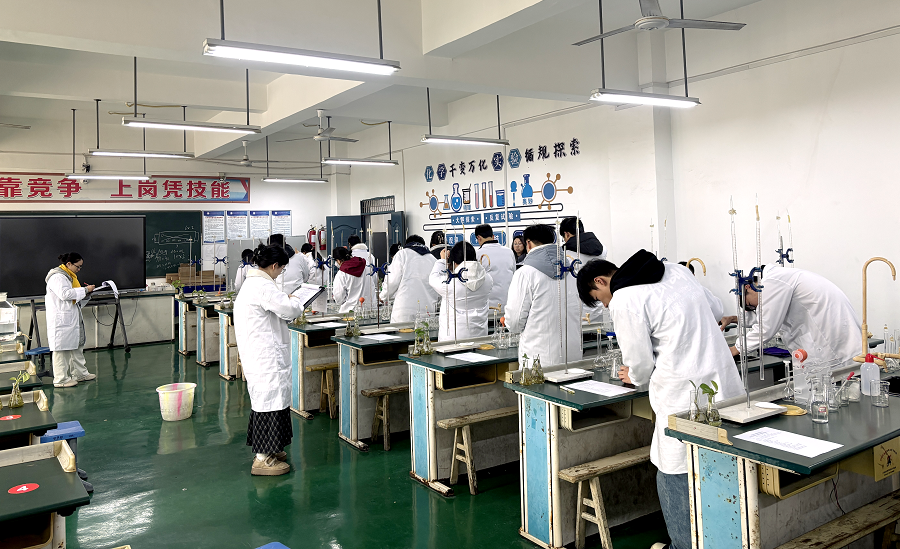 1769652699516375.png 1769652699516375.png